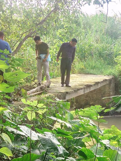 1539399784688766.png 图片3.png